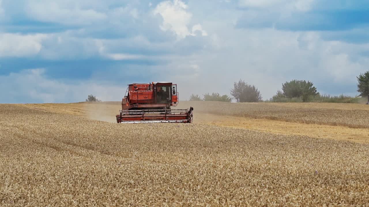 Combine harvester in action on the field during hot harvesting. Harvest time.