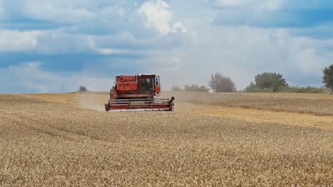 combine harvester in action on the field during hot harvesting. harvest time.