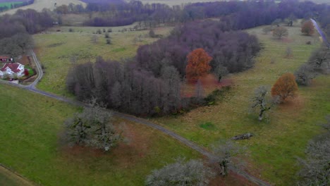 Beautiful-farmland-with-old-oak-trees