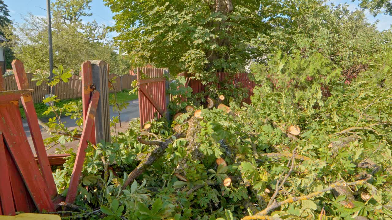 Myrskyn kaatamien puiden tuhoama aita, käsivaralta kuvattu dynaaminen.