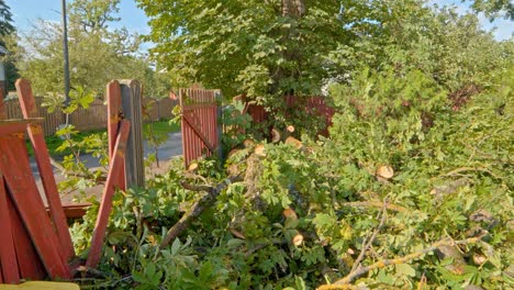 cerca destruida por árboles caídos debido a la tormenta, dinámica de mano