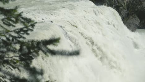 A-slow-motion-shot-of-a-huge-waterfall,-surrounded-by-pine-trees-in-the-stunning-landscape-of-Yoho-National-Park-in-Canada