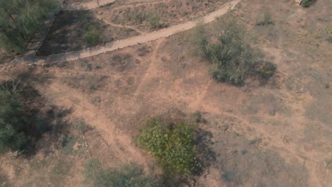 parque nacional sariska en india, villas, árboles verdes, toma cinematográfica de drones 4k