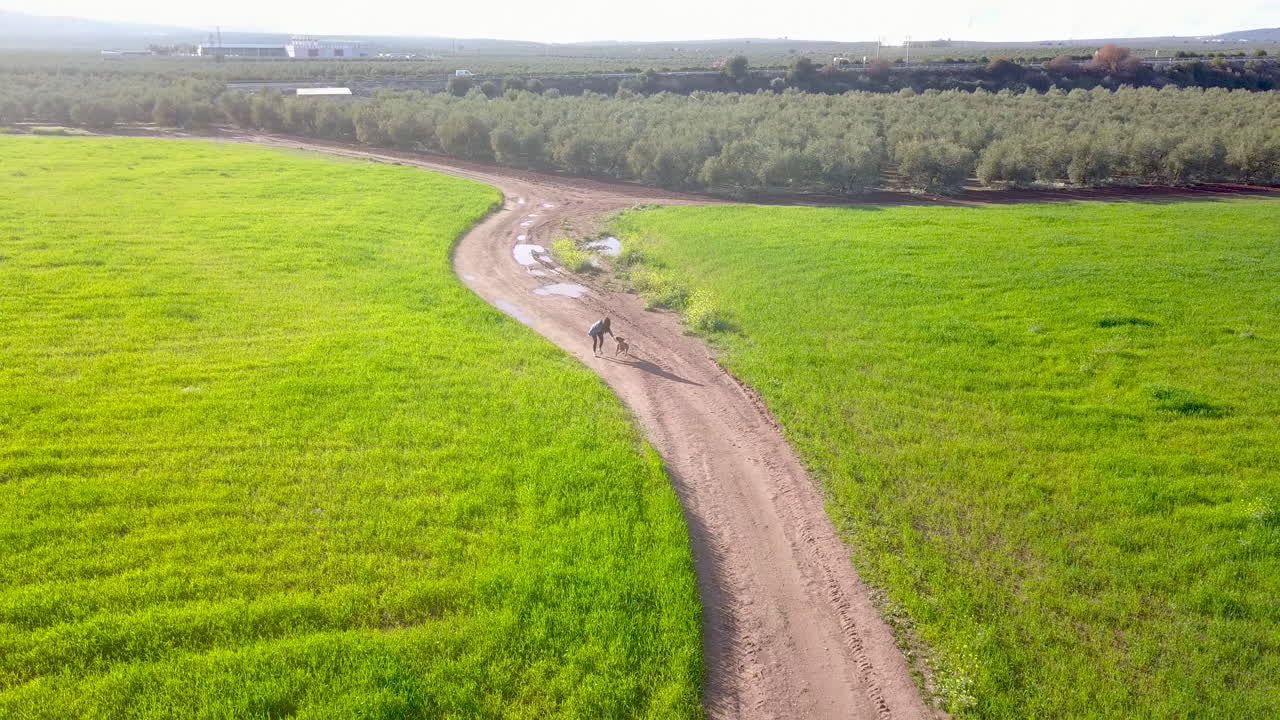 Person and Dog Walking on a Country Dirt Road
