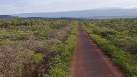 Aerial-flyover-rural-road-surrounded-by-plants-and-bush-in-Carretera-Cabo-Rojo,Pedernales