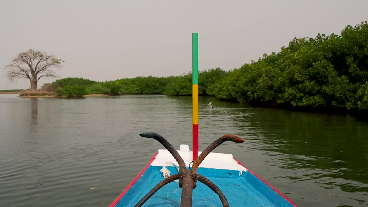 paseo en barco por el río en el sur de senegal