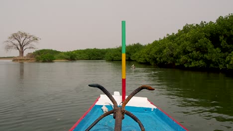 paseo en barco por el río en el sur de senegal