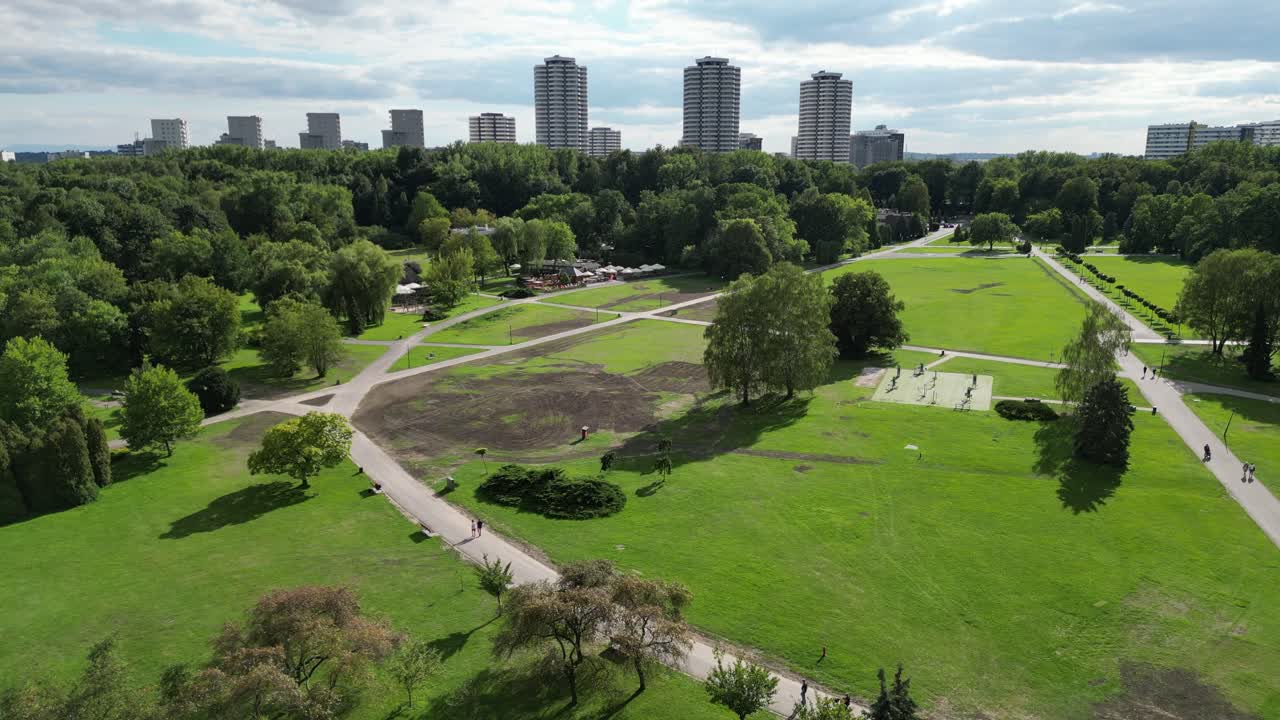 parque durante un hermoso día de verano rodeado de exuberante vegetación, hierba y árboles bajo un cielo azul claro