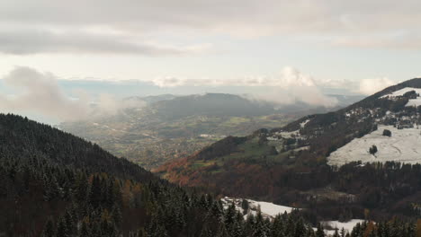 Jib-über-Den-Verschneiten-Kiefernwald-Mit-Blick-Auf-Das-Wunderschöne-Tal