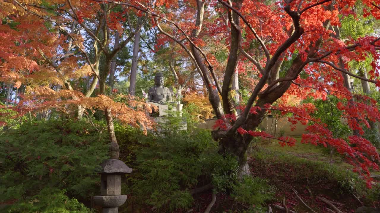 amplio disparo abierto sobre la estatua de buda durante los colores de otoño en japón