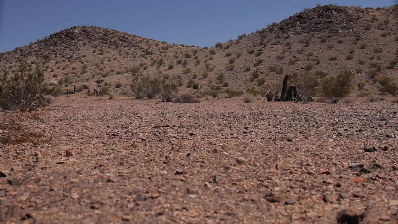Desert Landscape with Hills and Shrubs