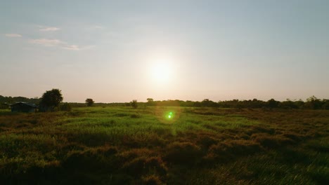 Puesta-De-Sol-Sobre-Tranquilos-Campos-De-Arauca,-Tonos-Cálidos-Con-Vegetación,-Amplia-Escena-Al-Aire-Libre,-Hora-Dorada