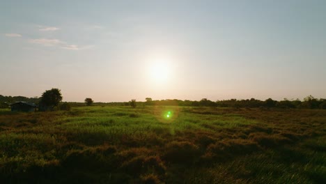 puesta de sol sobre los tranquilos campos de arauca, tonos cálidos con vegetación, escena al aire libre expansiva, hora de oro