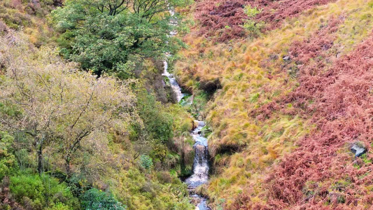 느리게 움직이는 모어랜드 하천은 페닌 모어에서 부드럽게 흐르고, 작은 폭포, 강 및 헤더 인 계곡과 함께 항공 드론 비디오