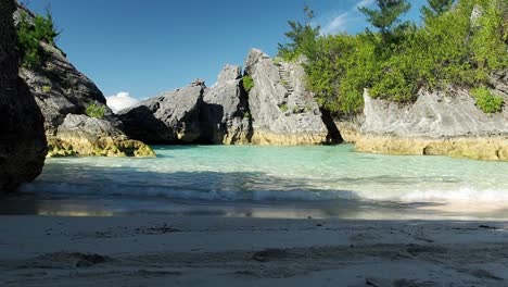 a nice shade and calm clear blue water at jobson's cove, bermuda