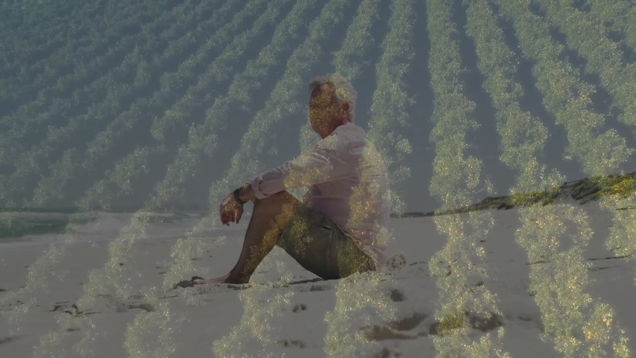 Senior man meditating on sandy beach by waves, showing golden patterns in wellness tech