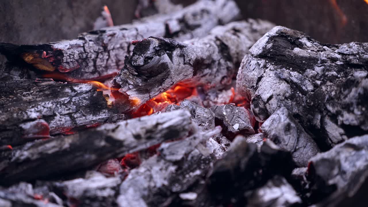 Embers of wood and torn money burn out. Two parts of one hundred american dollars falling into the fire and light up at once.