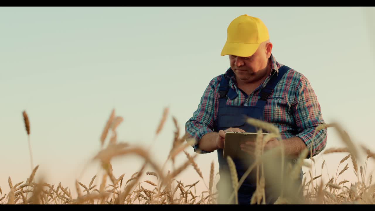 Farmer Checking Wheat Crop with Tablet