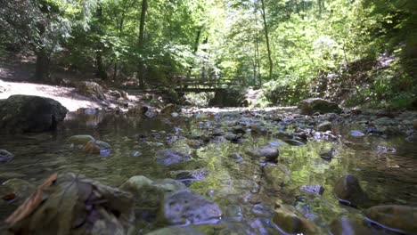 beautiful nature shot in forest of water stream with rocks