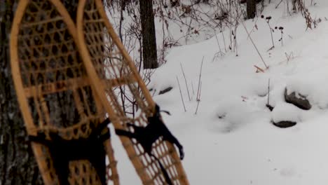 A-pair-of-genuine-traditional-Inuit---Native-America---Indigenous-made-snow-shoes-leaning-against-a-tree-in-the-Canadian-Arctic