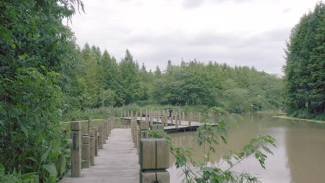 a man walking in a park with egrets