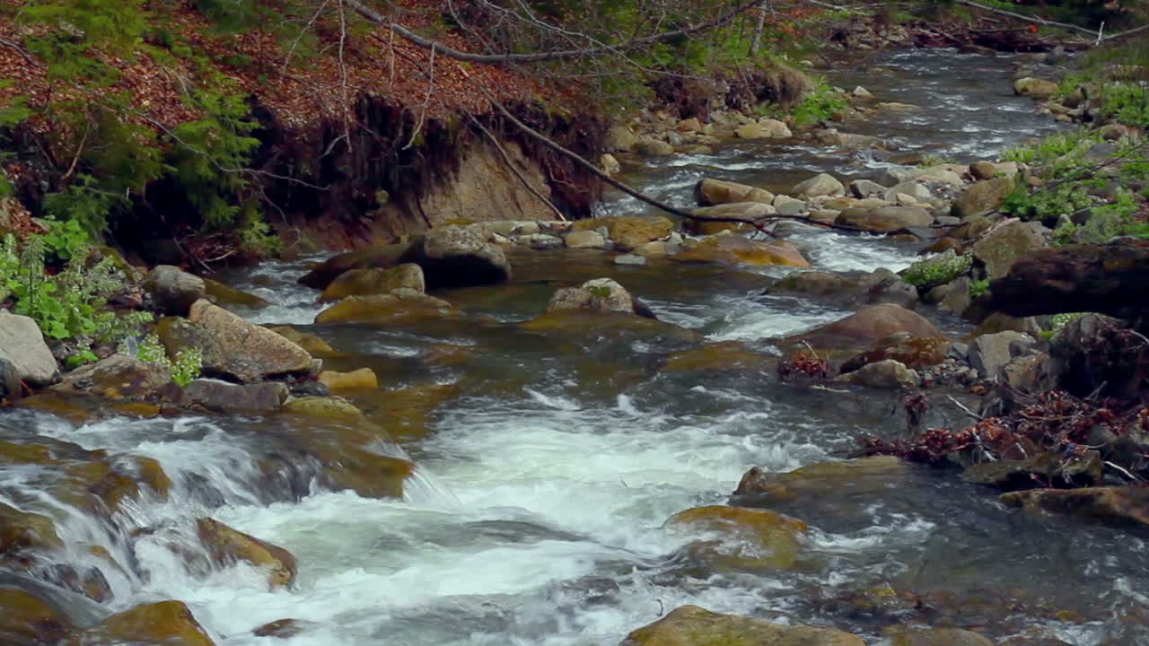 Small waterfall in spring. Rapids in small mountain river flowing in forest.