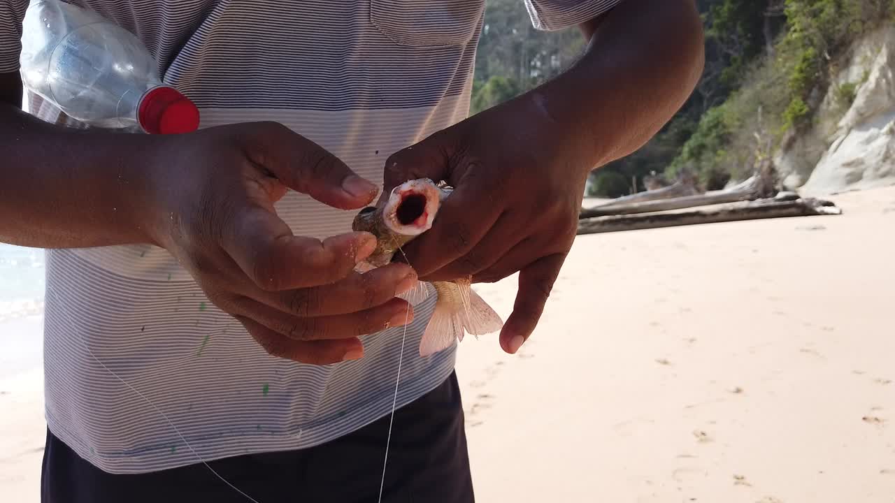 a los peces tropicales capturados por los pescadores locales de andaman en la india se les quita el anzuelo en la playa