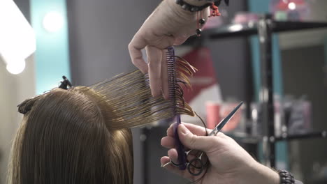 professional hairdresser dyeing hair of her client at beaty salon