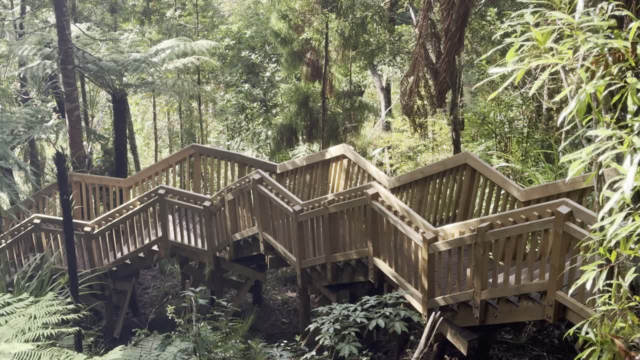 a beautifully designed bridge, wooden, in the heart of fairy fall track, auckland