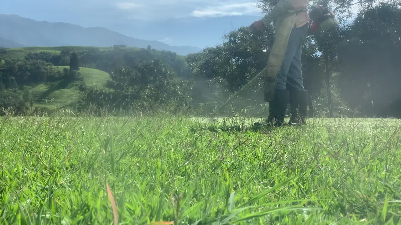 Man working pruning triming grass in a beautiful landscape in a beautiful sunny day