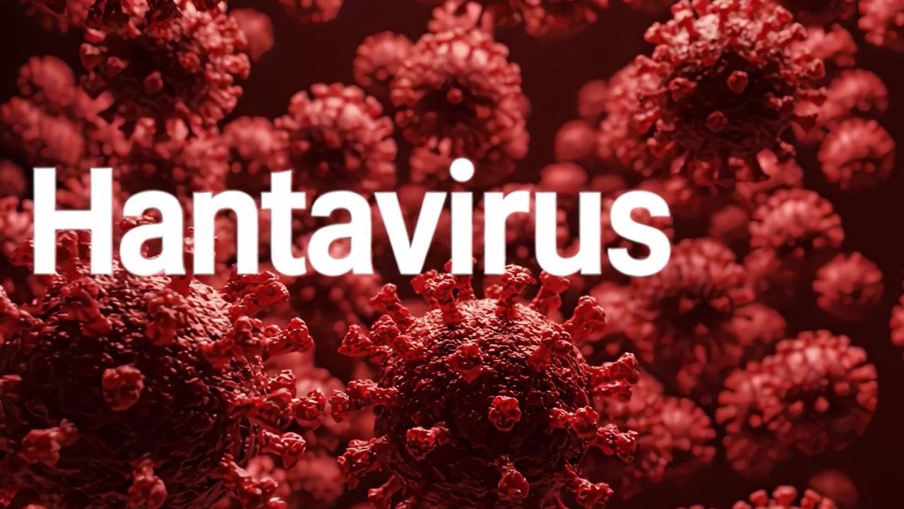 Intricate Visualization of Hantavirus: Exploring the Microscopic World of Viral Structures and Their Impact on Health in High Detail and Vivid Coloration