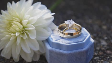 Anillo-De-Boda-Colocado-En-La-Caja-De-Boda-Superior