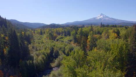 Luftaufnahmen-Zeigen-Den-Flug-über-Einen-Kleinen-Bach-Mit-Kiefern-Und-Laubbäumen,-Die-Beginnen,-Herbstfarben-Zu-Zeigen,-Mit-Dem-Mount-Hood-In-Der-Ferne