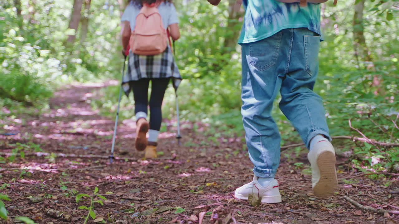 숲길 에 있는 산책자 들