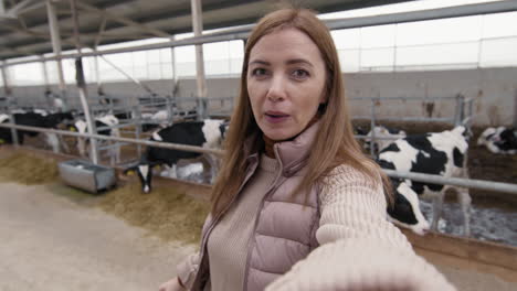 pov of woman filming herself at cattle farm