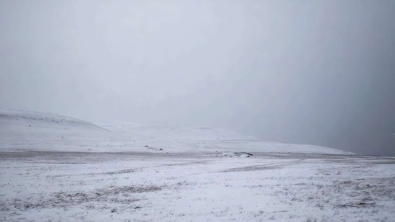 Panning camera revealing snow plain and low hill on remote tundra, exposing tire tracks