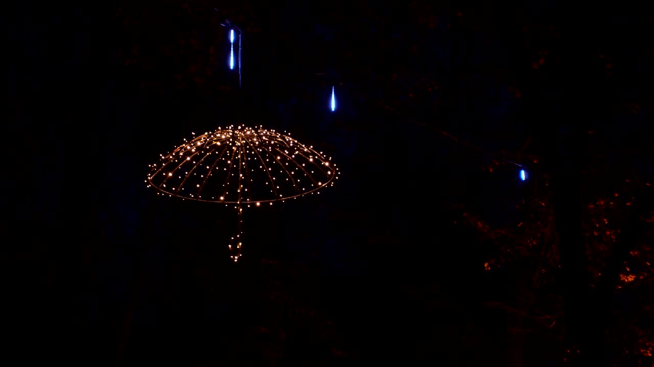 야간 조명과 함께 야간 장면