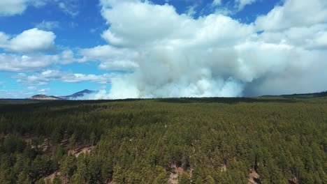 Forest-fire-with-a-big-cloud-of-smoke-close-to-Grand-Canyon,-Arizona