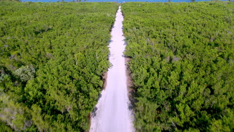 cinematic drone shot starting on road in tropical forest titling up to reveal a natural coastline with clean blue ocean water