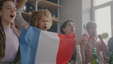friends supporting france