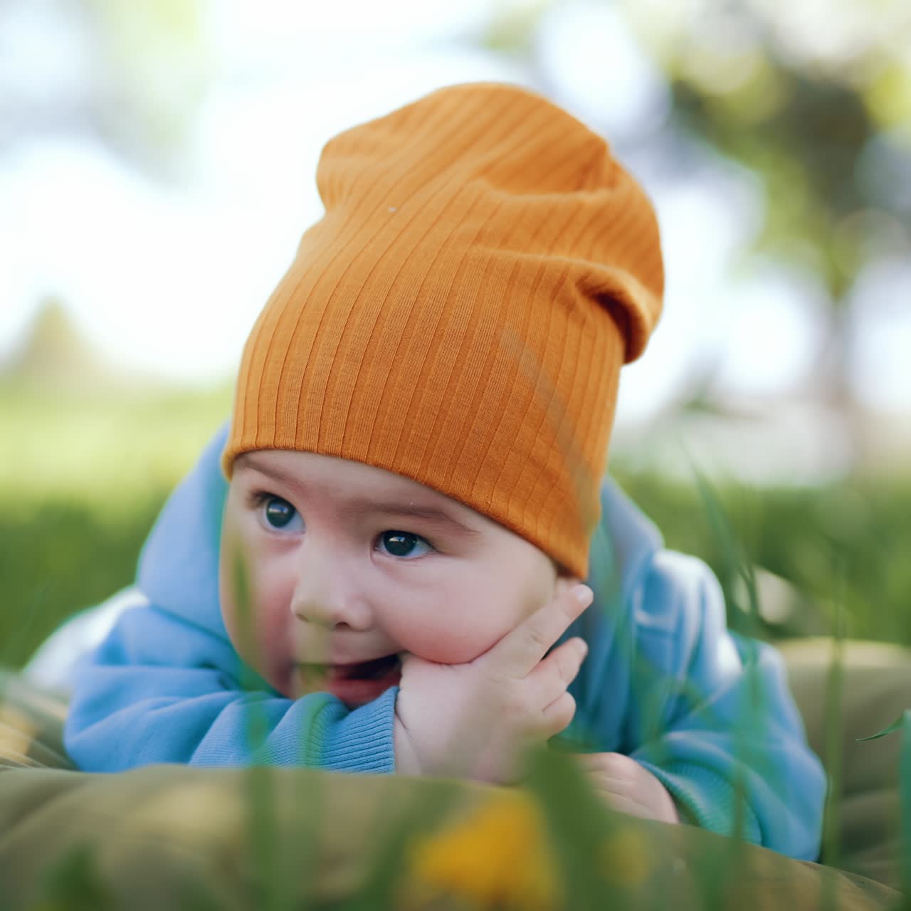 Caucasian boy resting in the green grass. Little infant kid lies on belly chewing his thumb. Blurred backdrop