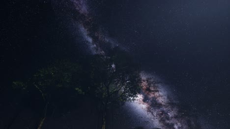 4k astro of milky way galaxy over tropical rainforest.