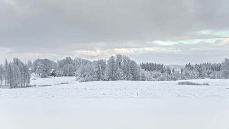 stormy grey sky clears to brilliant orange clouds in winter snow covered forest