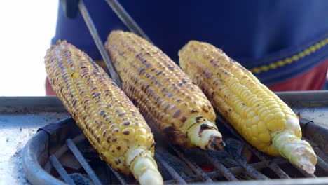 maíz a la parrilla en la mazorca