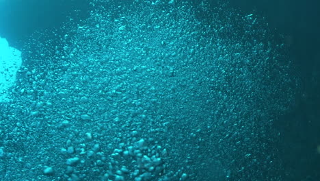 scuba diver's slow motion bubbles float to the surface catching the light