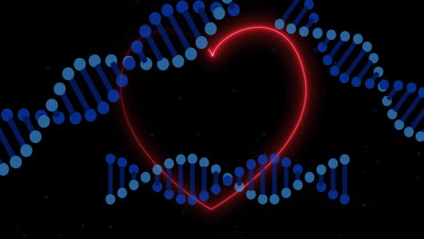 dna strands animation over glowing red heart on black background