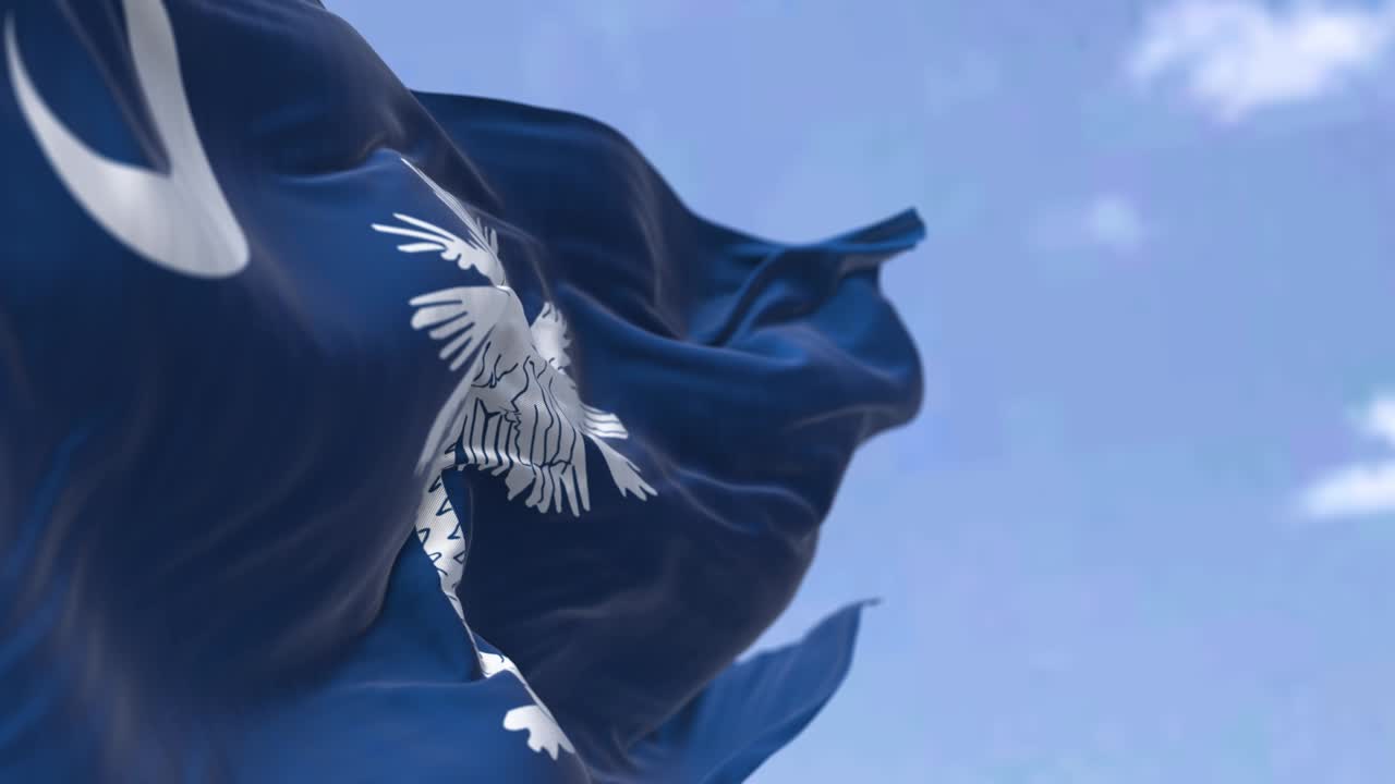 la bandera del estado de carolina del sur ondeando en el viento.