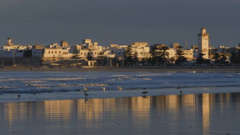 beach with the city skyline of essaouira, coastal town. beautiful morning light.