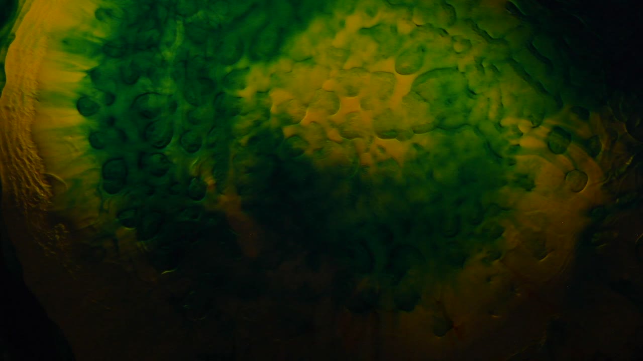 los verdes y los amarillos bailan bien juntos