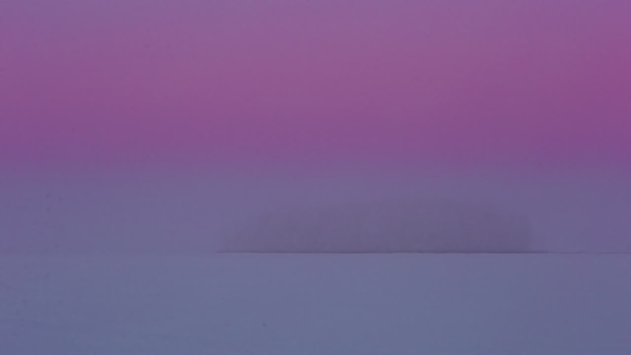 toma de una isla de árboles coníferos rodeada de llanuras cubiertas de nieve cubiertas de niebla densa en un lapso de tiempo durante la noche